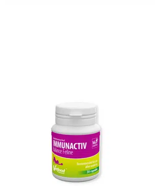 Vetfood Immunactiv Balance Feline 30 капсули - хранителна добавка за подсилване на имунитета при котки