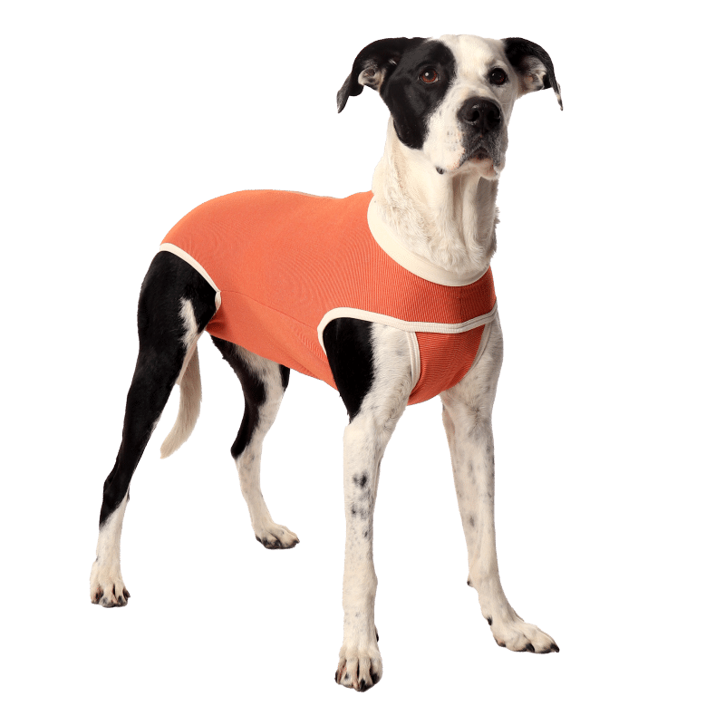 Luna & Milo Copper Body Classic