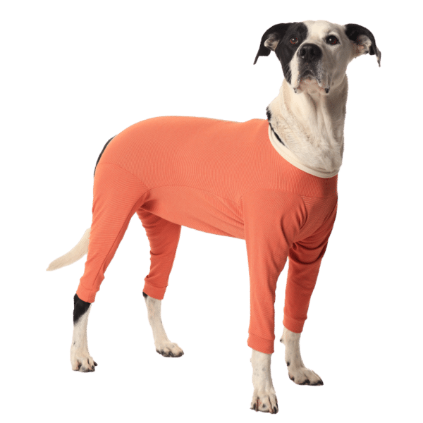Luna & Milo Copper Body 4- Legs