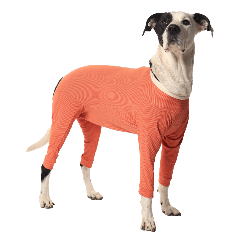 Luna & Milo Copper Body 4- Legs